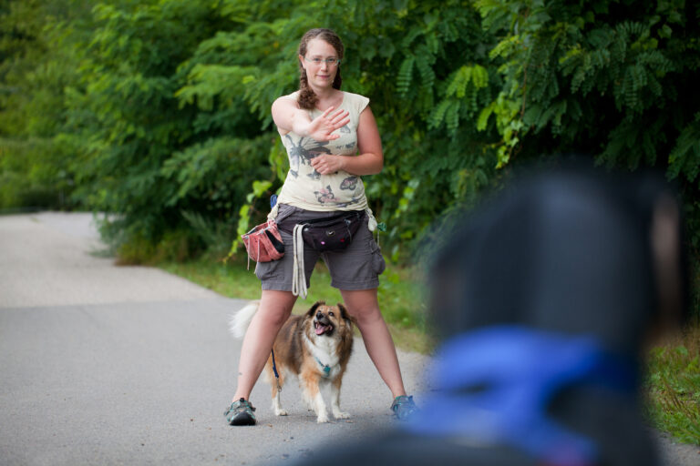 Dog and Human