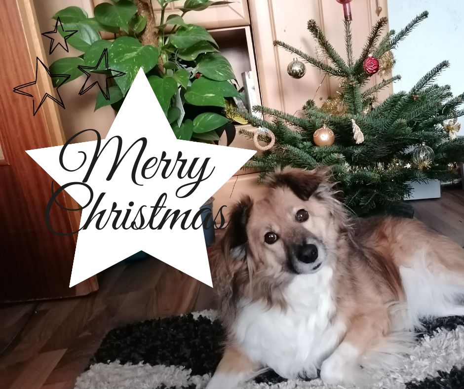Merry X-Mas